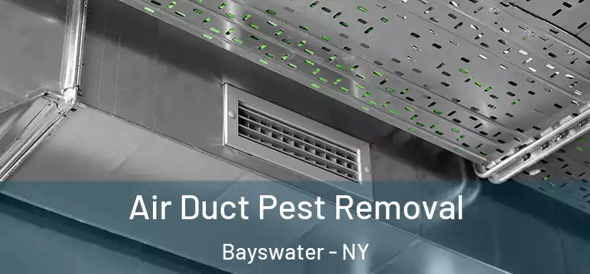  Air Duct Pest Removal Bayswater - NY