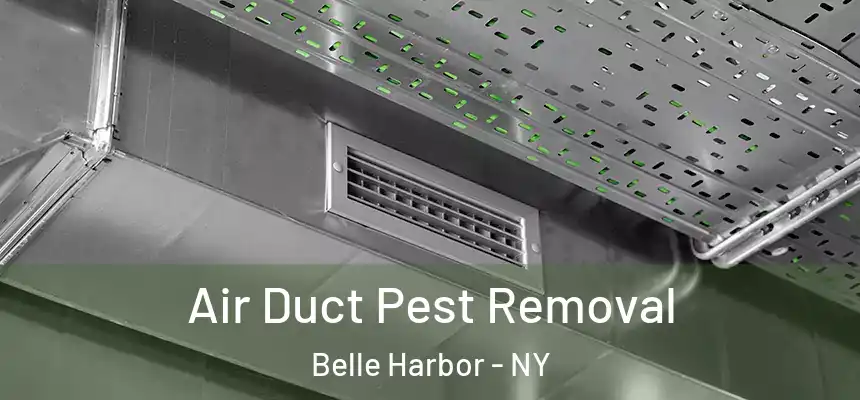  Air Duct Pest Removal Belle Harbor - NY
