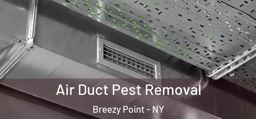 Air Duct Pest Removal Breezy Point - NY