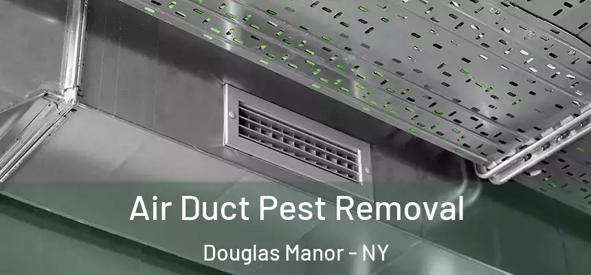  Air Duct Pest Removal Douglas Manor - NY