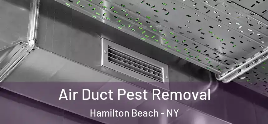 Air Duct Pest Removal Hamilton Beach - NY
