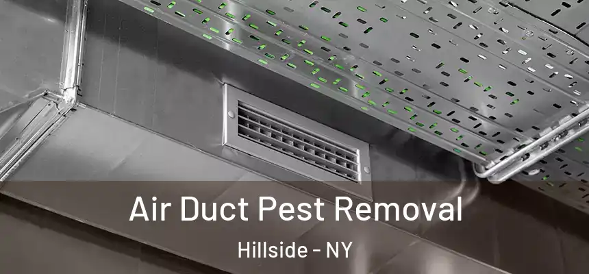 Air Duct Pest Removal Hillside - NY