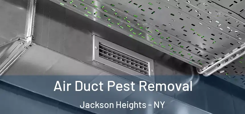  Air Duct Pest Removal Jackson Heights - NY