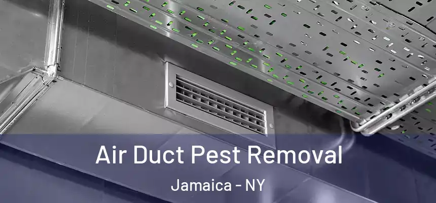  Air Duct Pest Removal Jamaica - NY