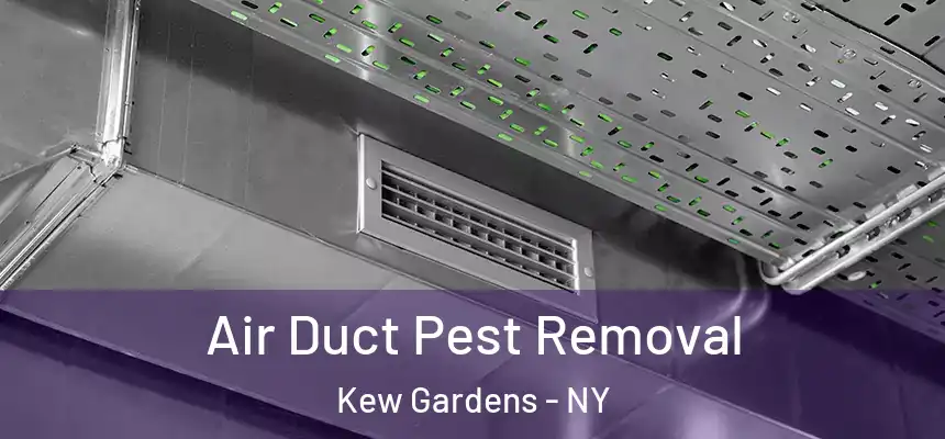  Air Duct Pest Removal Kew Gardens - NY