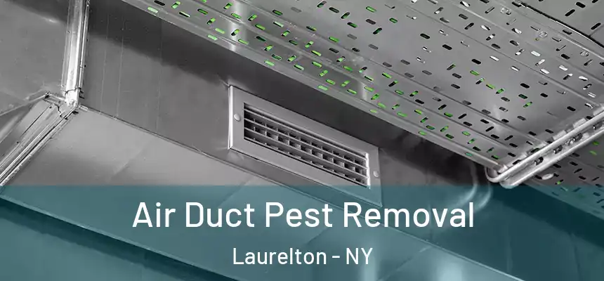 Air Duct Pest Removal Laurelton - NY