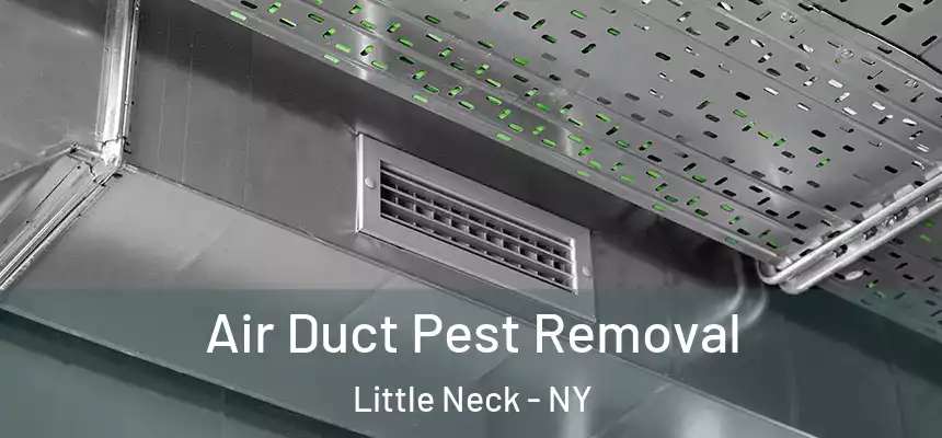  Air Duct Pest Removal Little Neck - NY