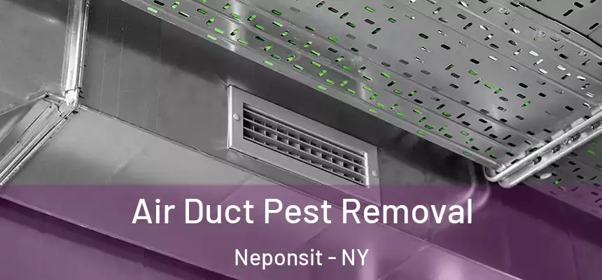 Air Duct Pest Removal Neponsit - NY