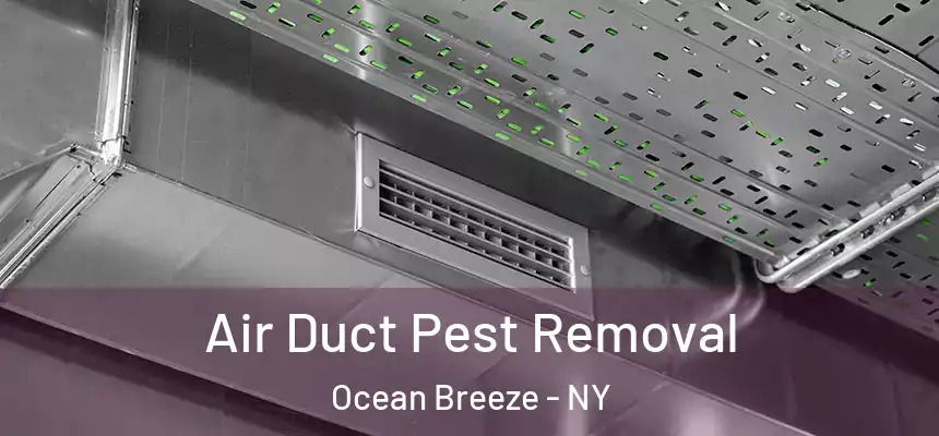  Air Duct Pest Removal Ocean Breeze - NY
