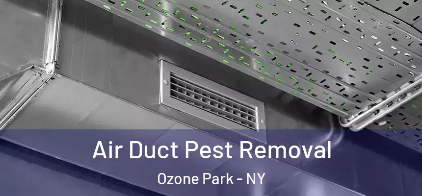  Air Duct Pest Removal Ozone Park - NY