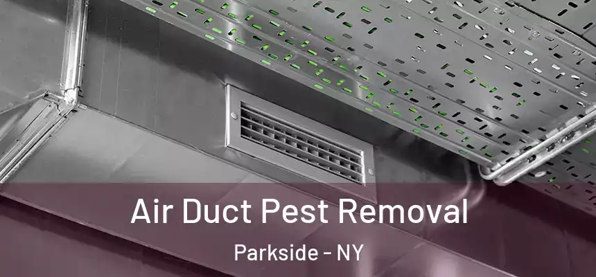Air Duct Pest Removal Parkside - NY