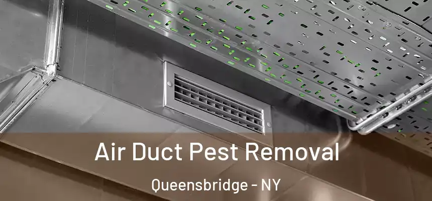  Air Duct Pest Removal Queensbridge - NY