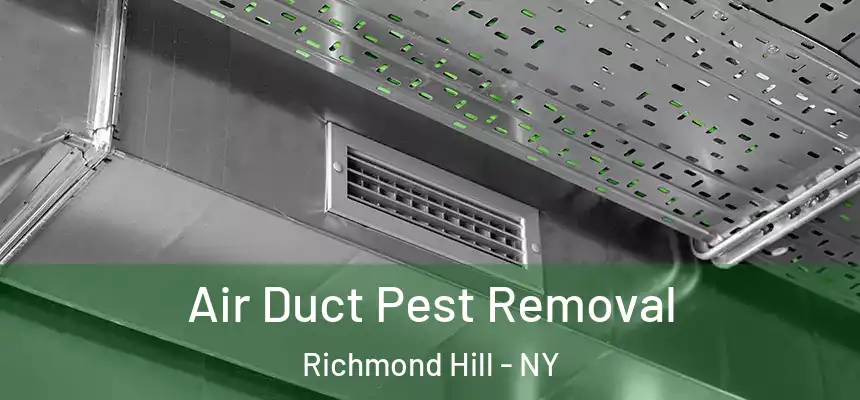  Air Duct Pest Removal Richmond Hill - NY