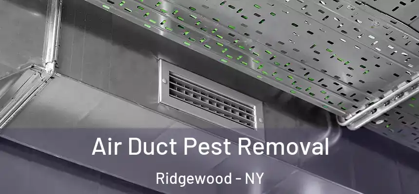  Air Duct Pest Removal Ridgewood - NY