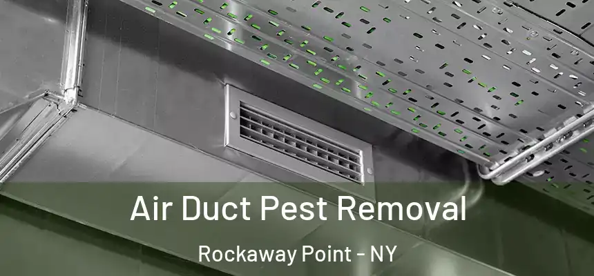  Air Duct Pest Removal Rockaway Point - NY