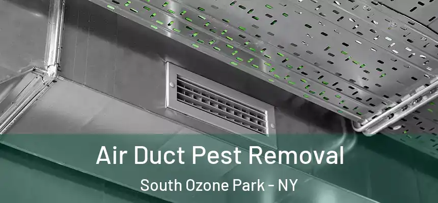  Air Duct Pest Removal South Ozone Park - NY