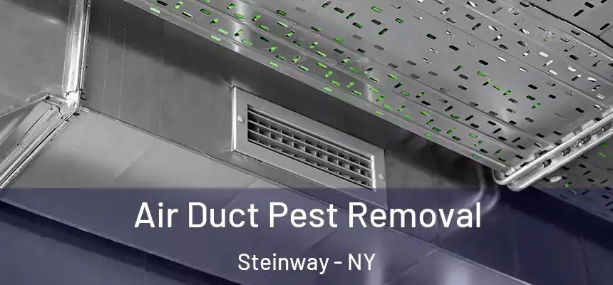 Air Duct Pest Removal Steinway - NY