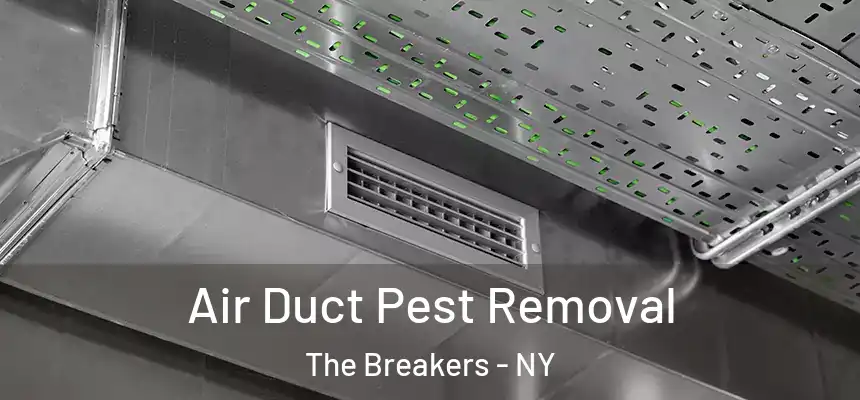  Air Duct Pest Removal The Breakers - NY