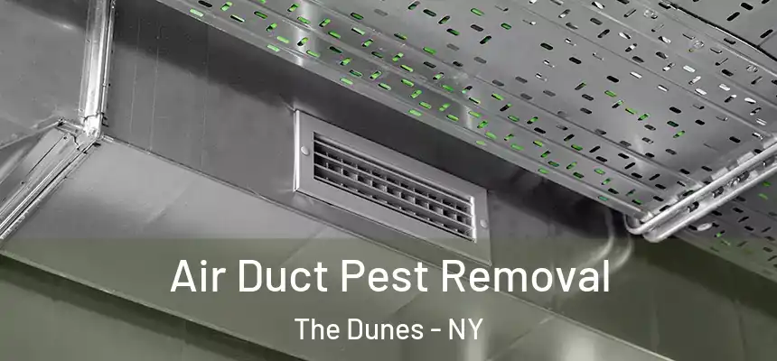  Air Duct Pest Removal The Dunes - NY
