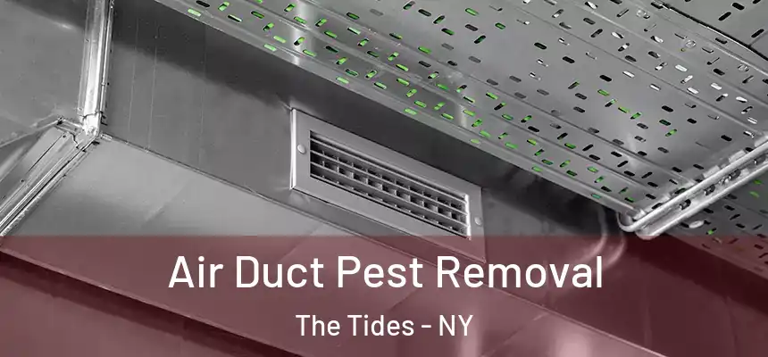 Air Duct Pest Removal The Tides - NY