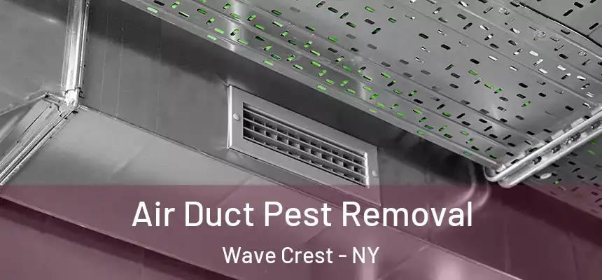  Air Duct Pest Removal Wave Crest - NY