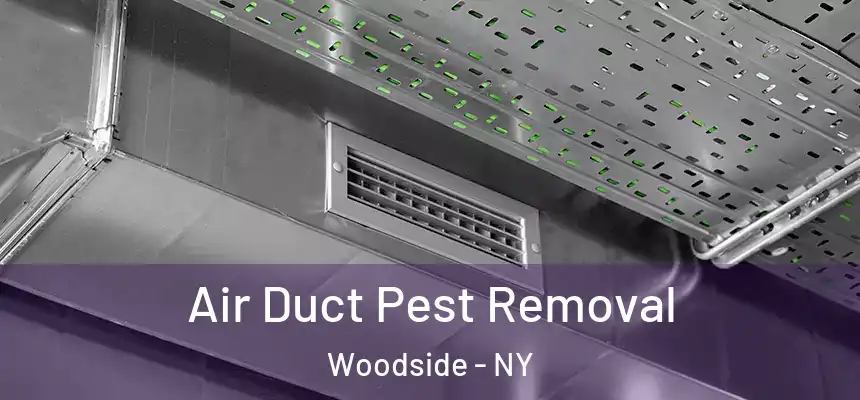  Air Duct Pest Removal Woodside - NY