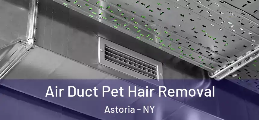 Air Duct Pet Hair Removal Astoria - NY