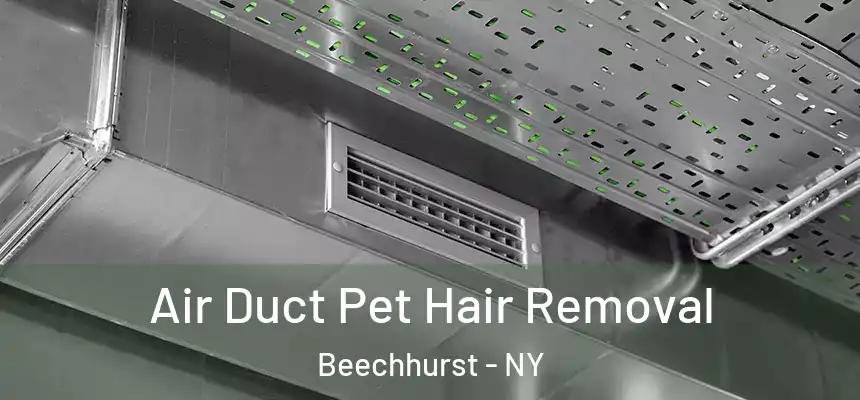  Air Duct Pet Hair Removal Beechhurst - NY