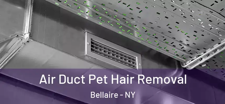  Air Duct Pet Hair Removal Bellaire - NY
