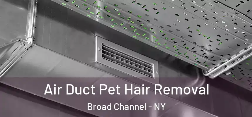  Air Duct Pet Hair Removal Broad Channel - NY
