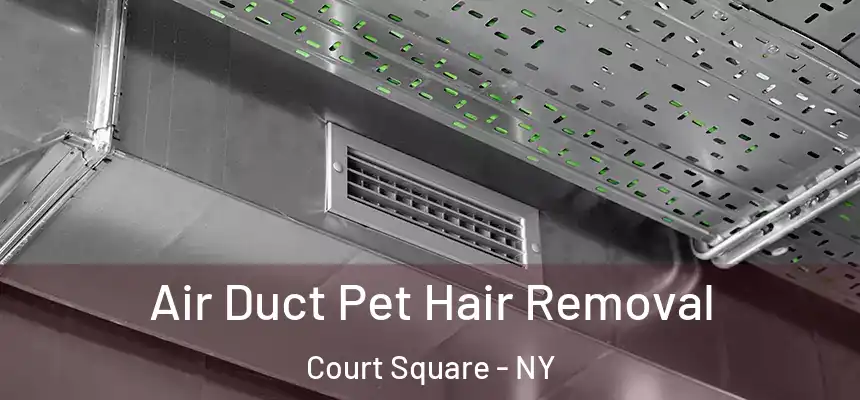  Air Duct Pet Hair Removal Court Square - NY