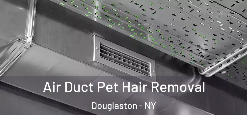 Air Duct Pet Hair Removal Douglaston - NY