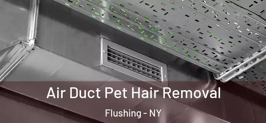  Air Duct Pet Hair Removal Flushing - NY