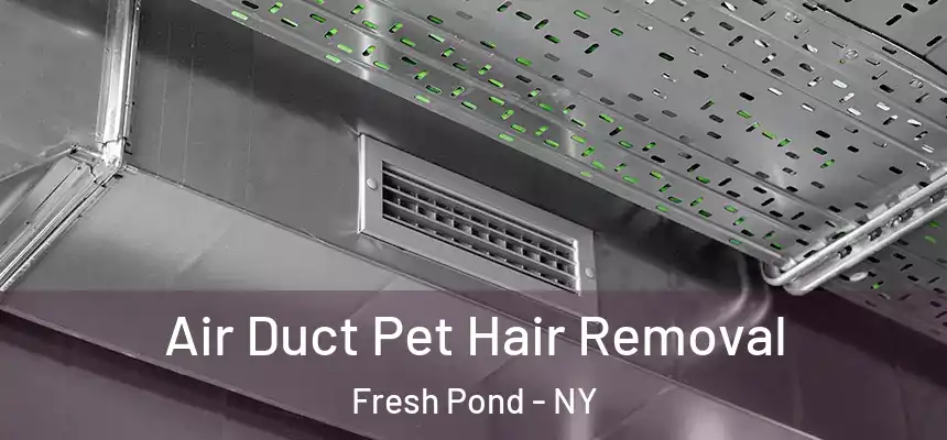 Air Duct Pet Hair Removal Fresh Pond - NY