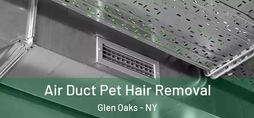 Air Duct Pet Hair Removal Glen Oaks - NY