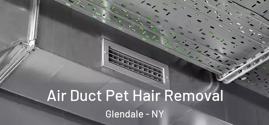 Air Duct Pet Hair Removal Glendale - NY