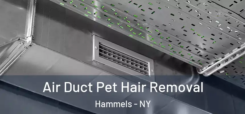  Air Duct Pet Hair Removal Hammels - NY