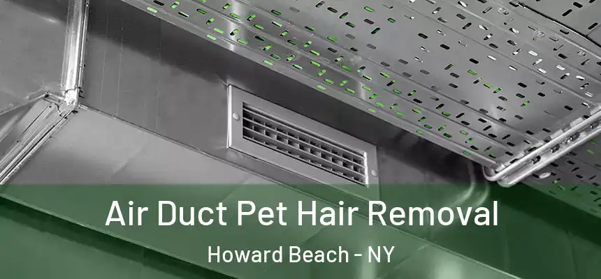  Air Duct Pet Hair Removal Howard Beach - NY