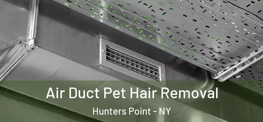 Air Duct Pet Hair Removal Hunters Point - NY