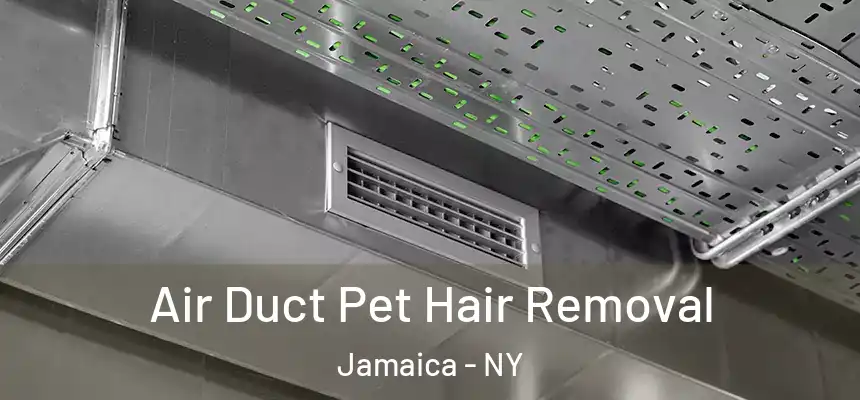 Air Duct Pet Hair Removal Jamaica - NY