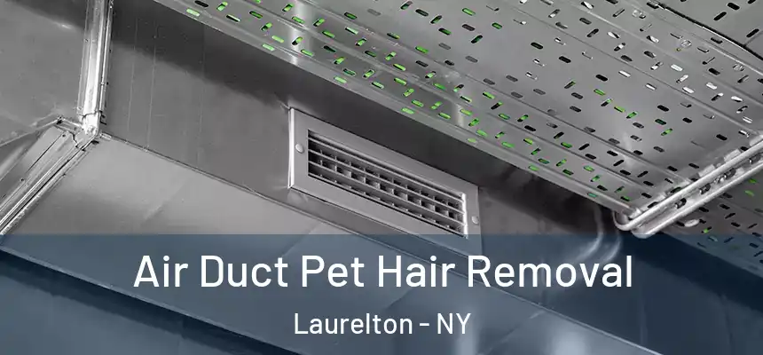 Air Duct Pet Hair Removal Laurelton - NY