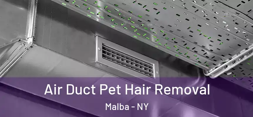  Air Duct Pet Hair Removal Malba - NY