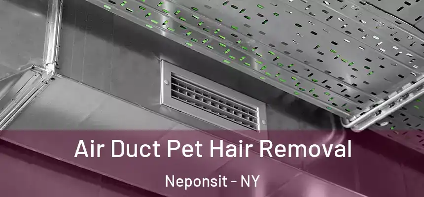 Air Duct Pet Hair Removal Neponsit - NY