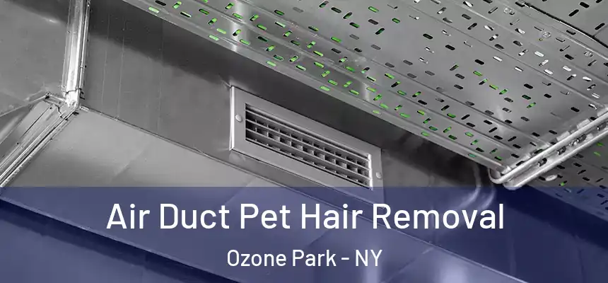 Air Duct Pet Hair Removal Ozone Park - NY
