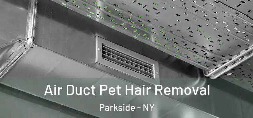 Air Duct Pet Hair Removal Parkside - NY