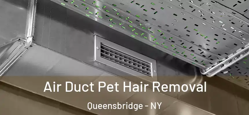  Air Duct Pet Hair Removal Queensbridge - NY