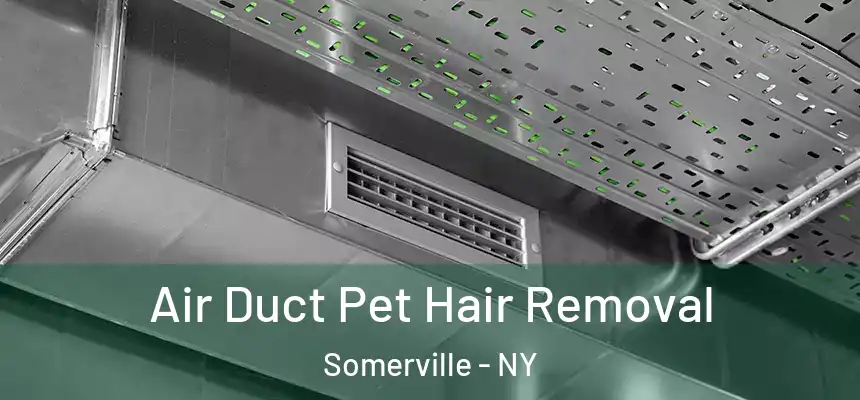  Air Duct Pet Hair Removal Somerville - NY