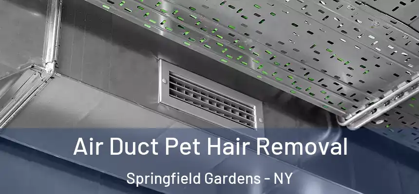  Air Duct Pet Hair Removal Springfield Gardens - NY