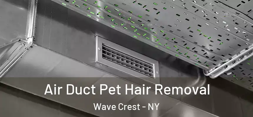  Air Duct Pet Hair Removal Wave Crest - NY