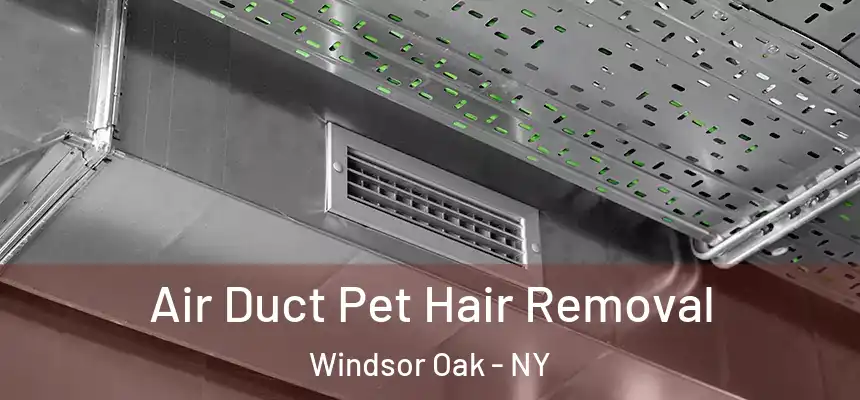 Air Duct Pet Hair Removal Windsor Oak - NY